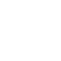 VPS Vault Logo